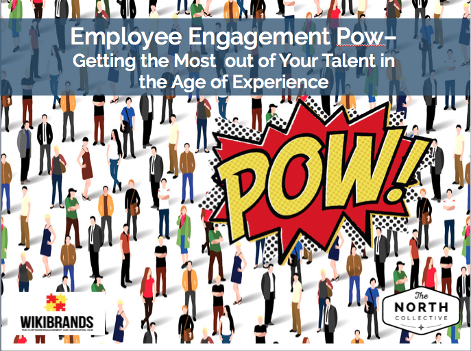 Employee Engagement Pow – Getting the Most out of Your Talent in the Age of Experience