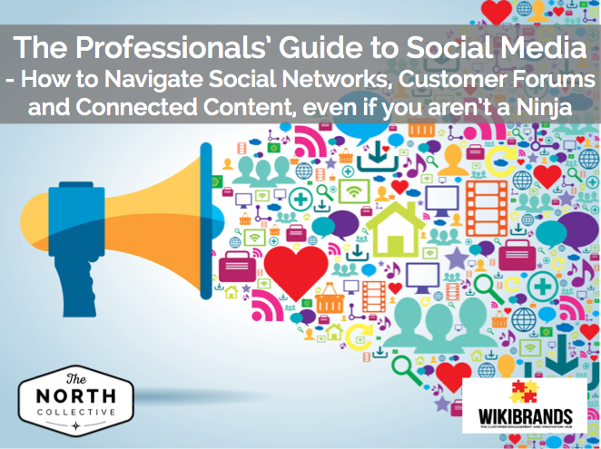 The Professional’s Guide to Social Media – How to Navigate Social Networks, Customers Forums and Connected Content, even if you aren’t a Ninja